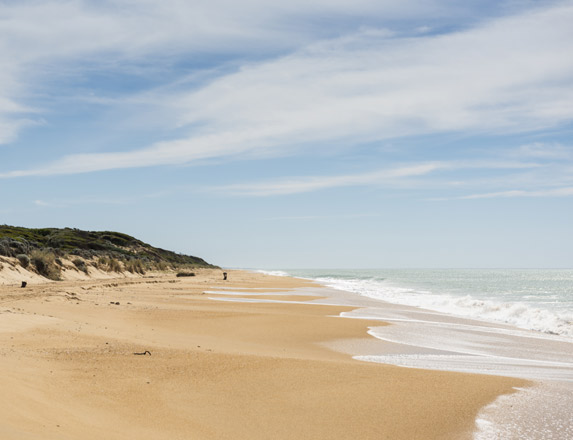 Sand dunes on the Ninety Mile Beach, Gippsland