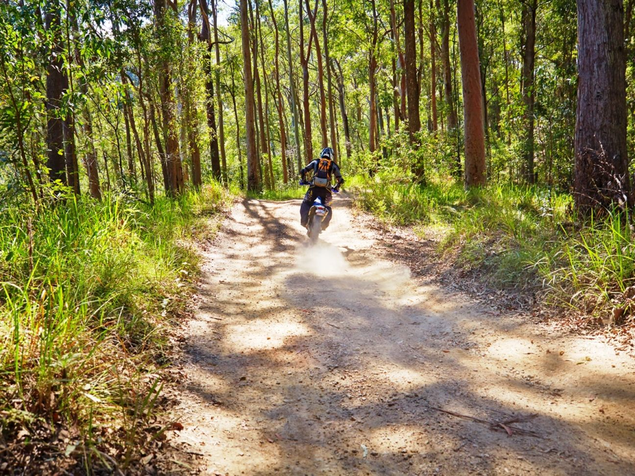 Dirt Bike Riding Mullungdung State Forest