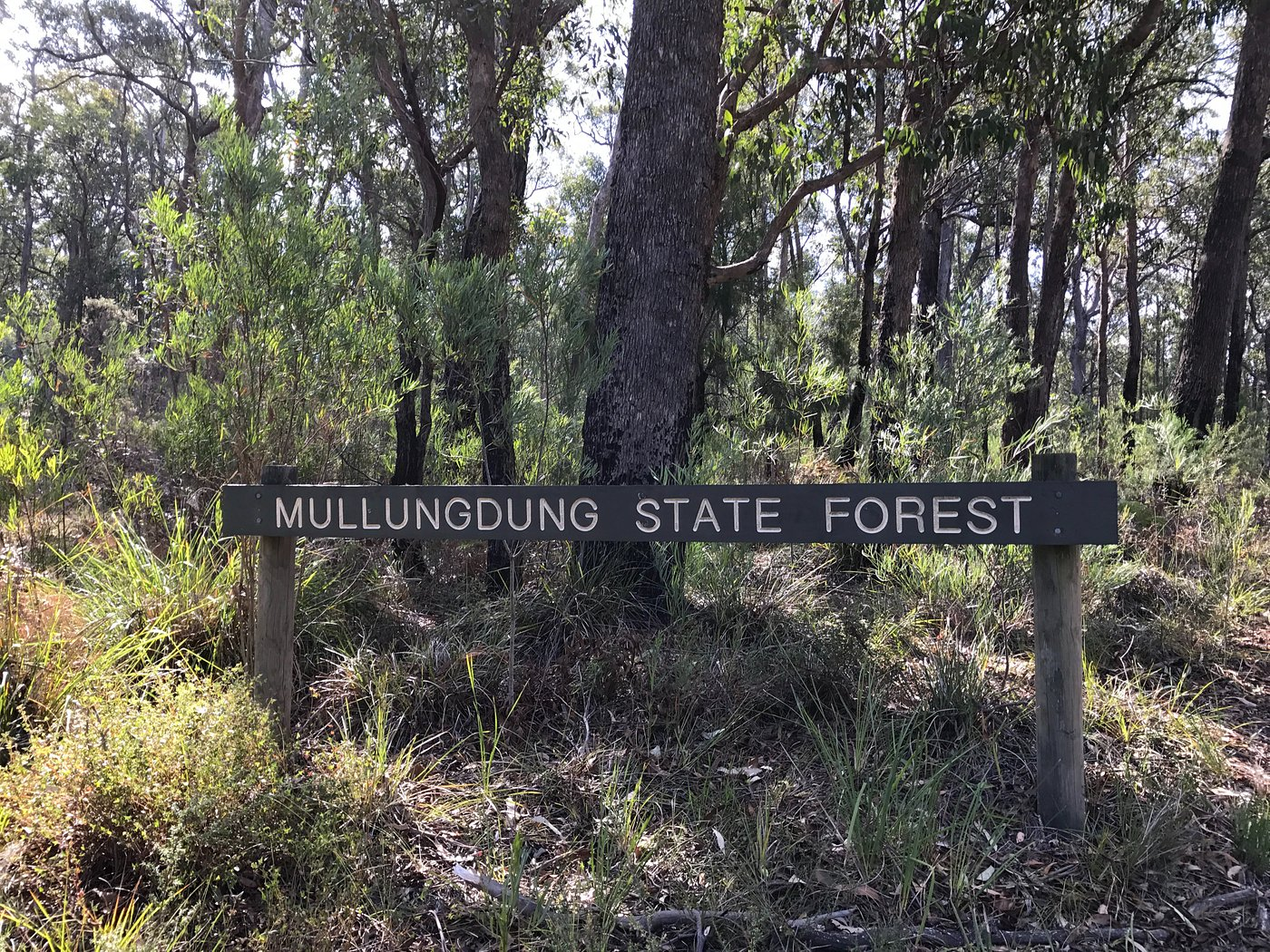 Entrance to Mullungdung State Forest